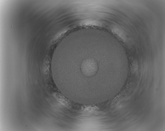 X0000070860824200606302043