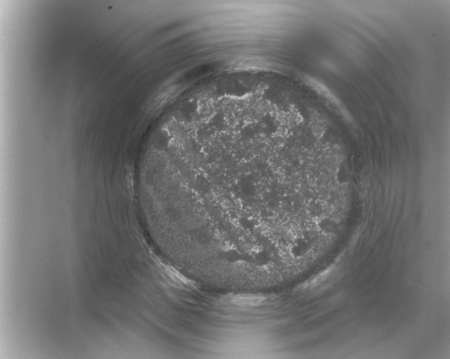 X0000070860825200606302043