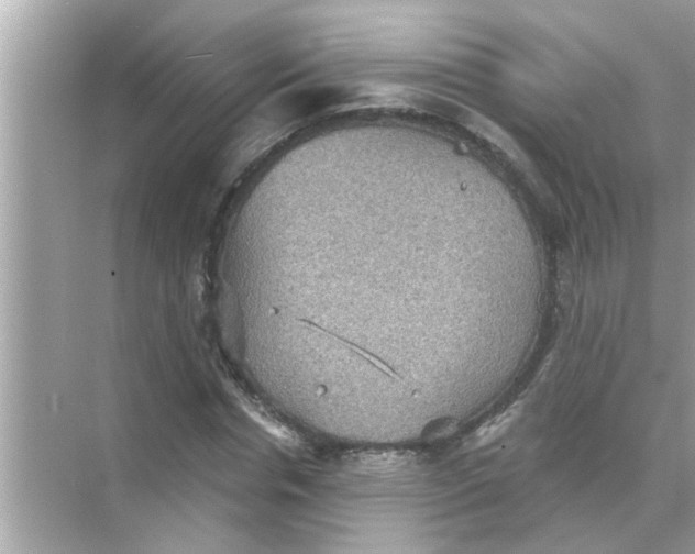 X0000070860826200606302043