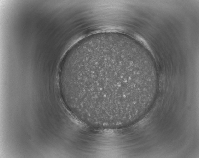 X0000070860827200606302043