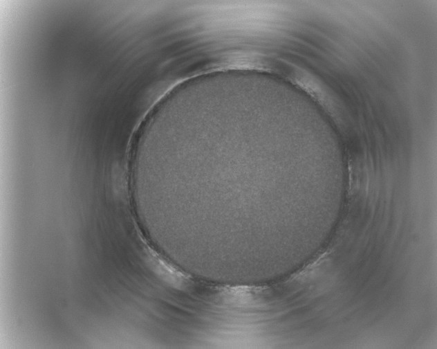 X0000070860828200606302043