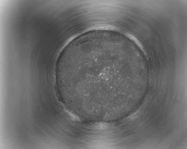 X0000070860829200606302043