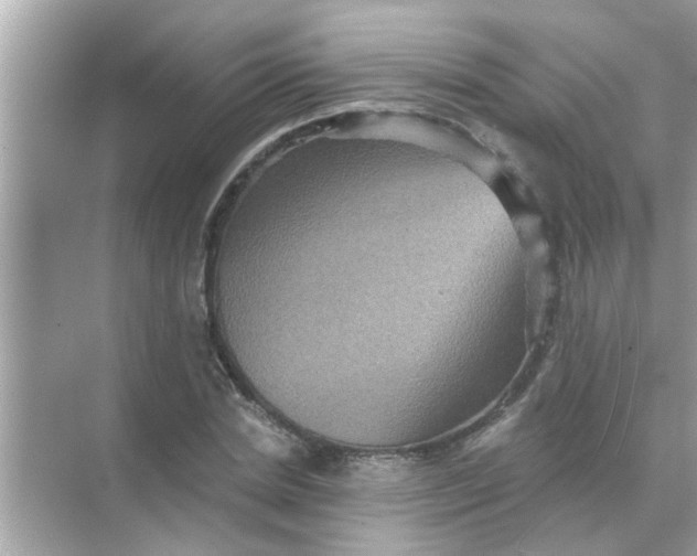 X0000070860830200606302043