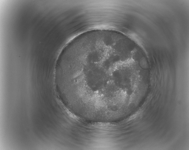 X0000070860831200606302043