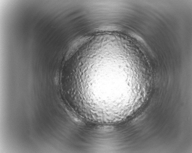 X0000070860833200606302043