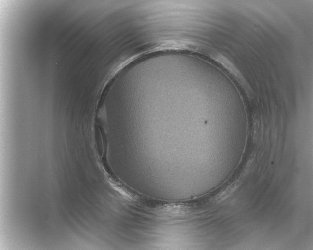 X0000070860834200606302043