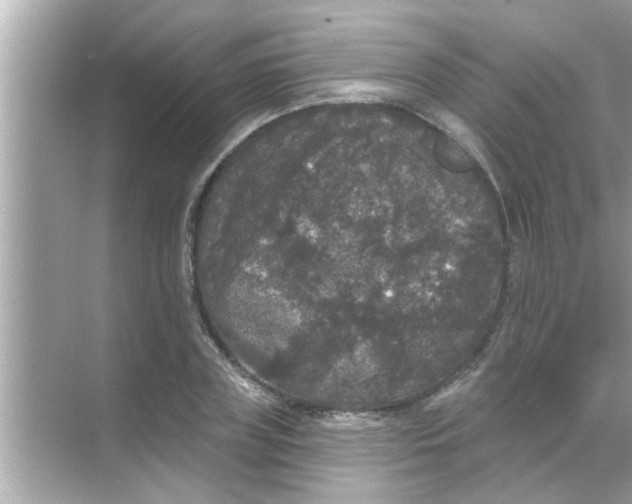 X0000070860835200606302044