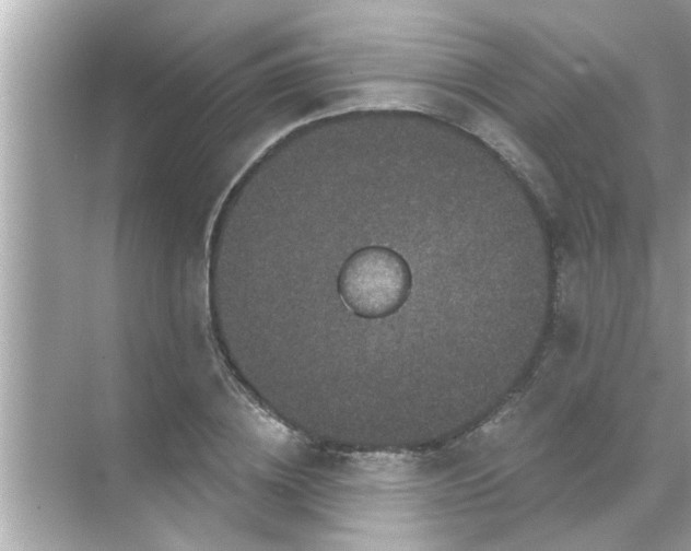 X0000070860836200606302044