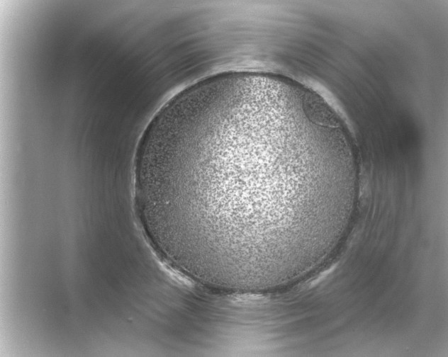 X0000070860837200606302044