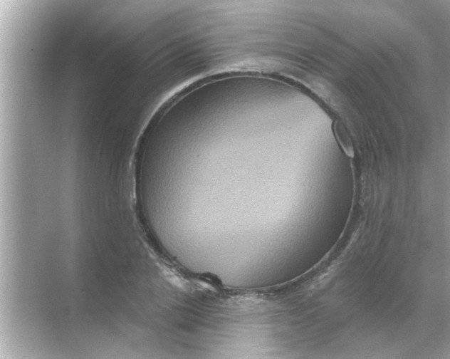 X0000070860838200606302044