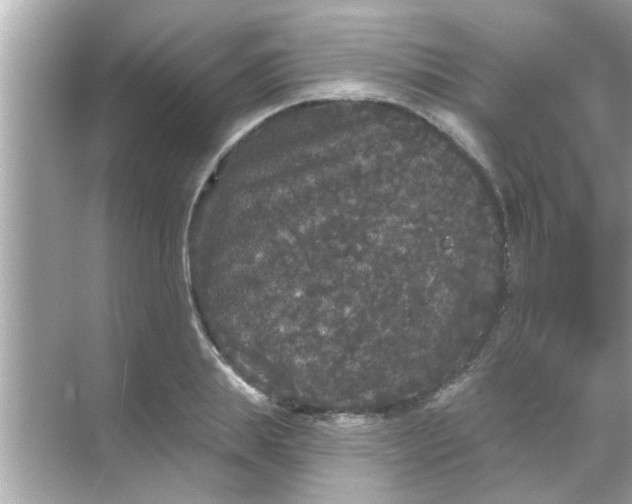 X0000070860839200606302044