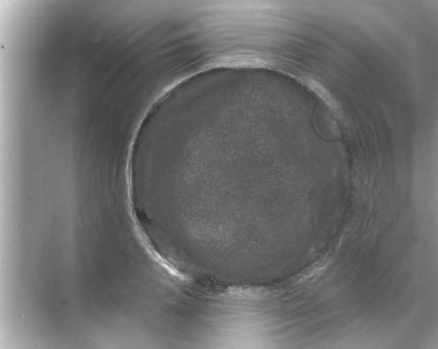 X0000070860840200606302044