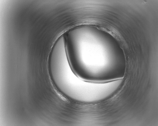 X0000070860842200606302044