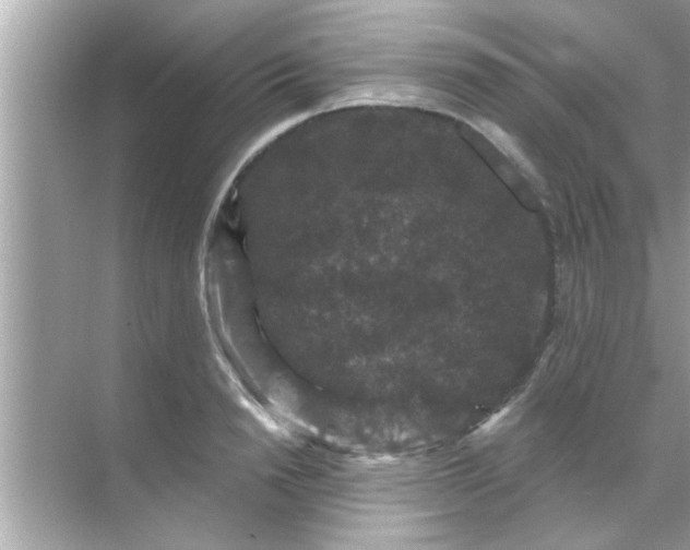 X0000070860846200606302044