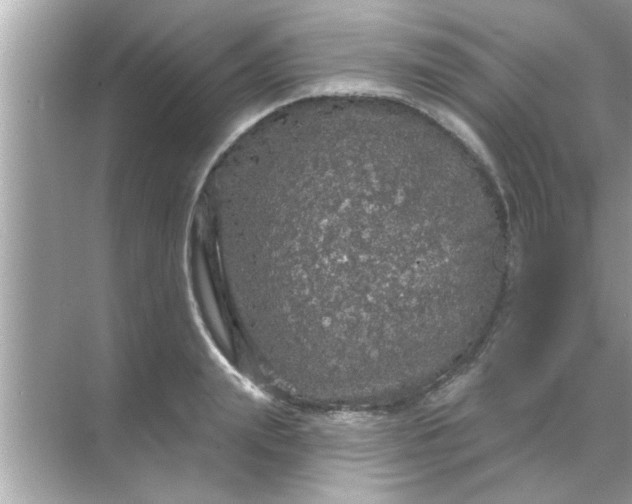 X0000070860847200606302044