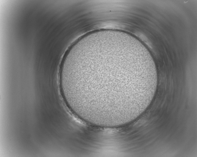 X0000070860848200606302044