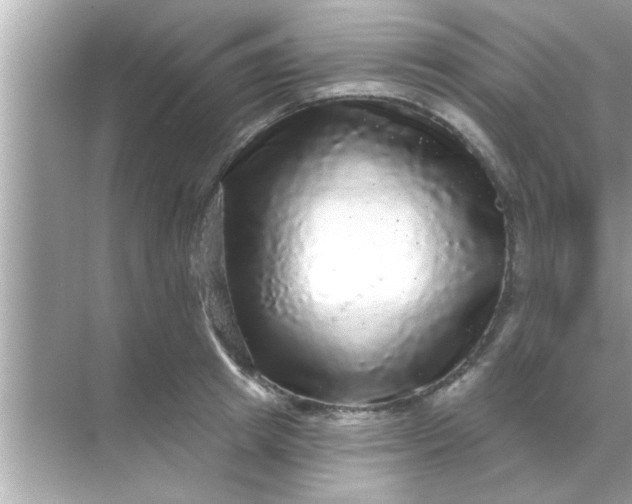 X0000070860849200606302044