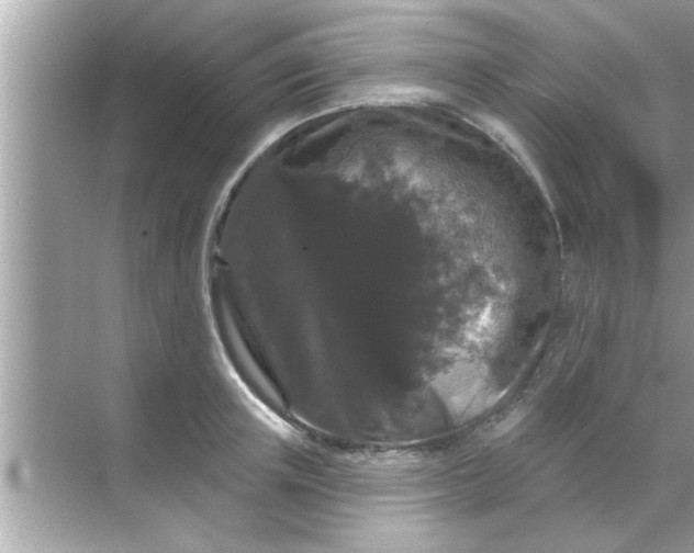 X0000070860851200606302044