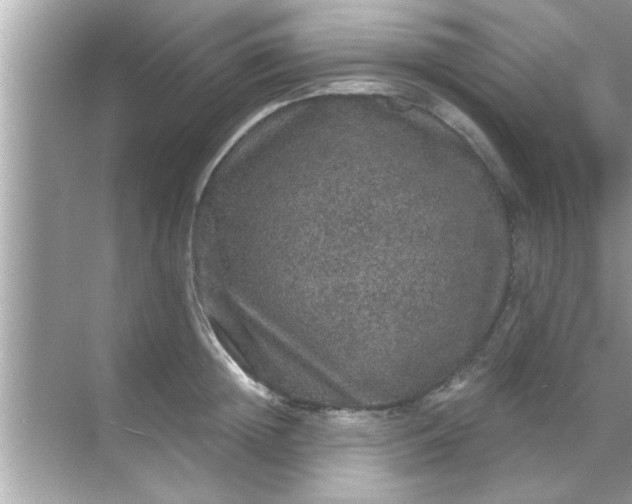 X0000070860852200606302044