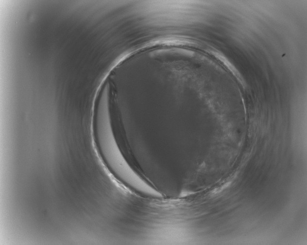 X0000070860853200606302044