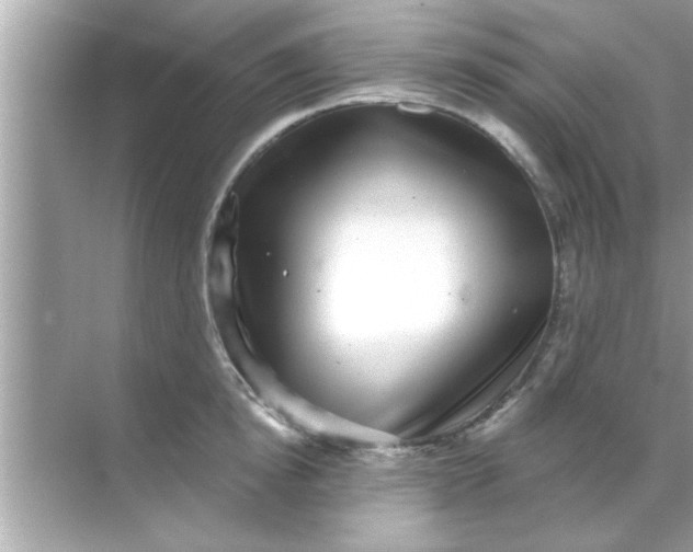 X0000070860854200606302044