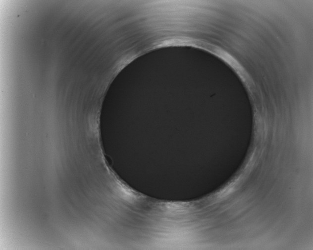 X0000070860857200606302044