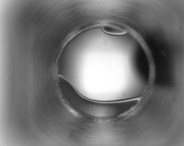 X0000070860858200606302044