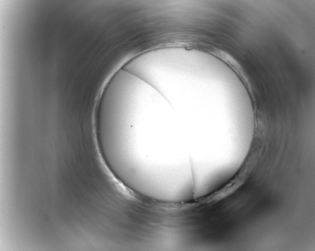 X0000070860859200606302044