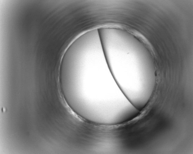 X0000070860860200606302044