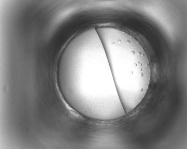 X0000070860861200606302044