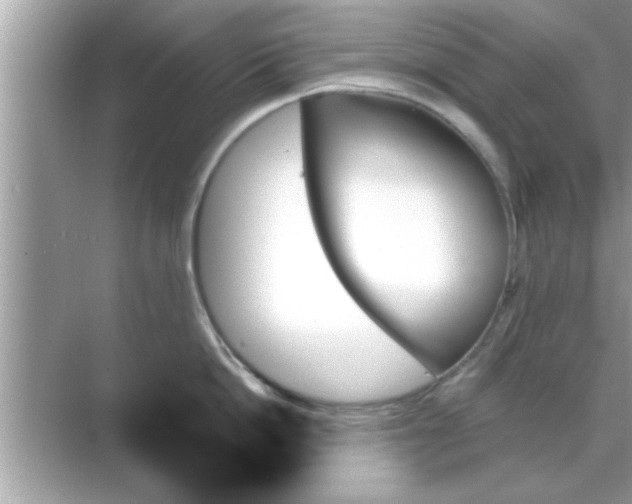 X0000070860862200606302044