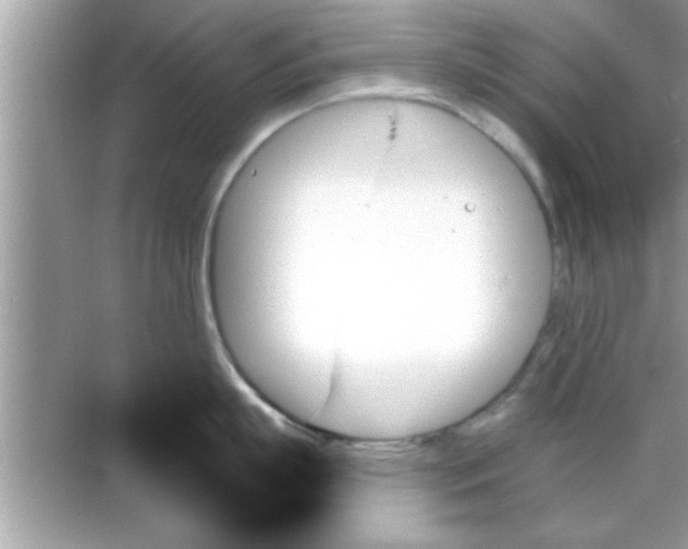 X0000070860863200606302044