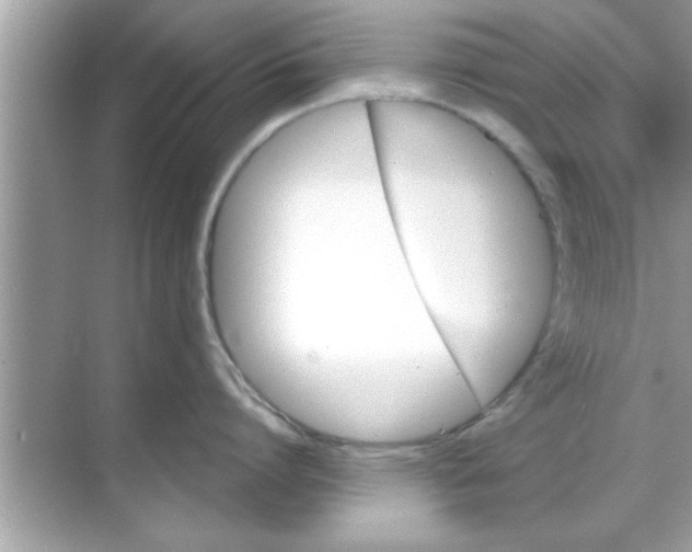 X0000070860864200606302044