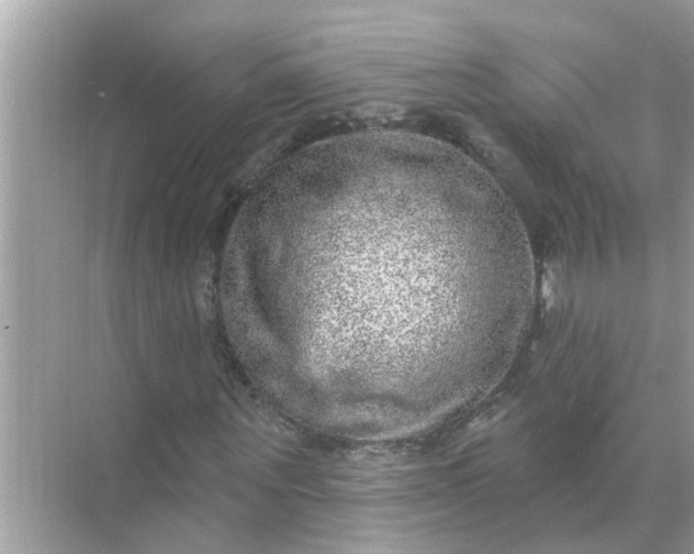 X0000070860867200606302043