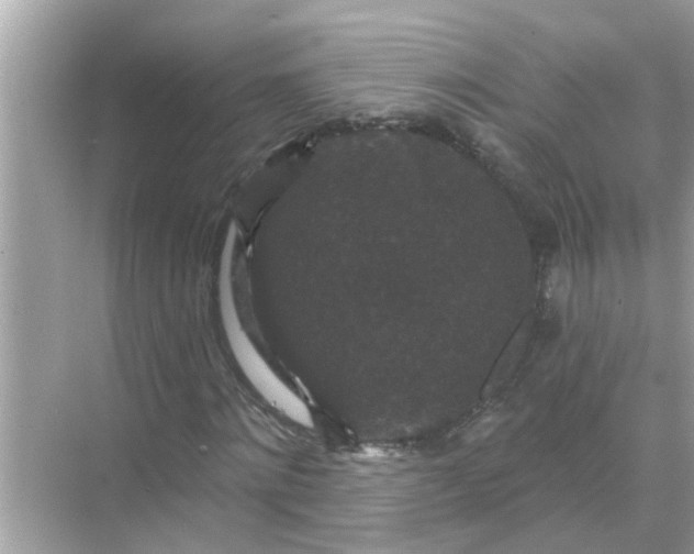 X0000070860868200606302043