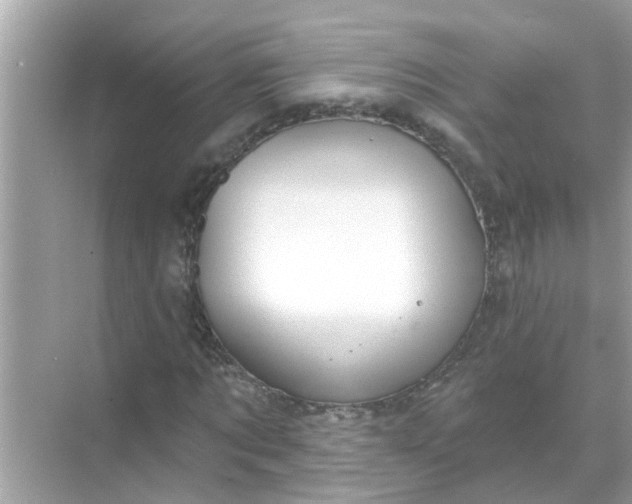 X0000070860869200606302043