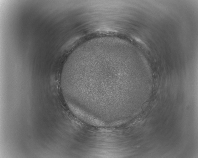 X0000070860870200606302043