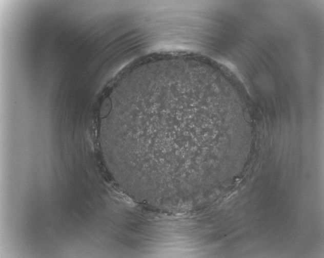 X0000070860871200606302043