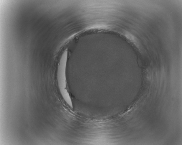 X0000070860872200606302043