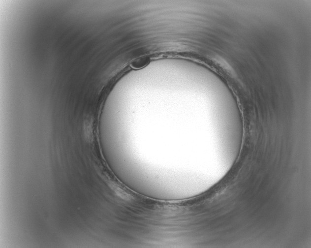 X0000070860873200606302043