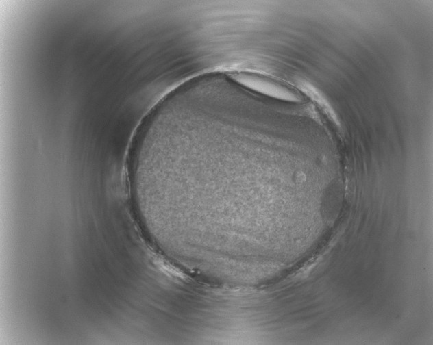 X0000070860876200606302043