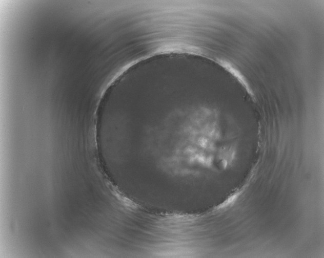 X0000070860877200606302043