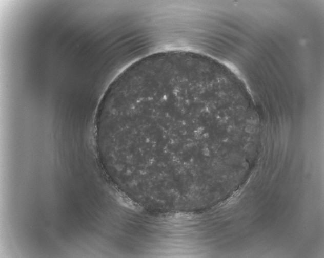 X0000070860879200606302043