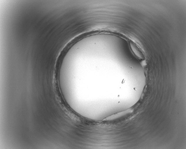 X0000070860880200606302043