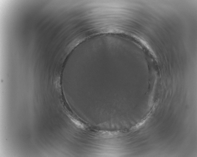 X0000070860881200606302043