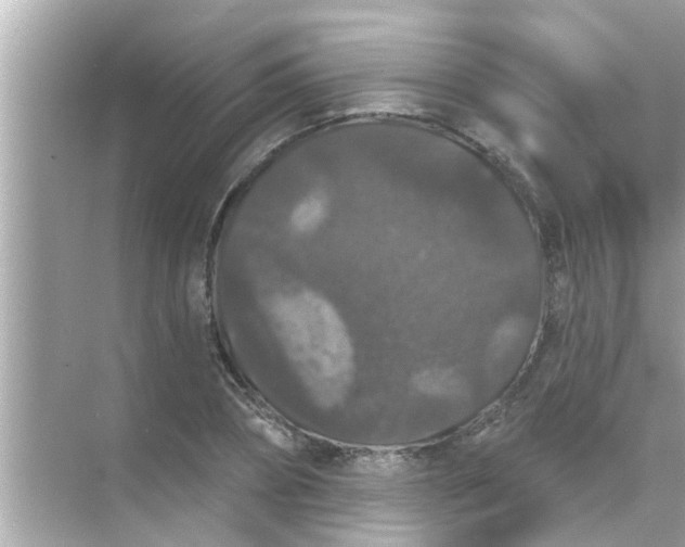 X0000070860882200606302043