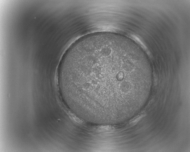 X0000070860883200606302043