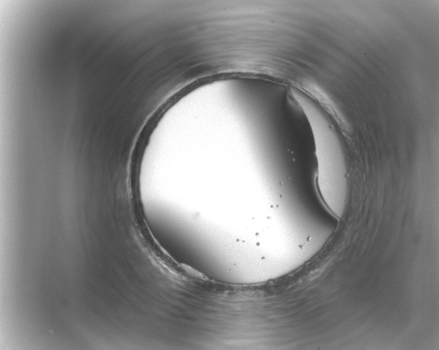 X0000070860884200606302043