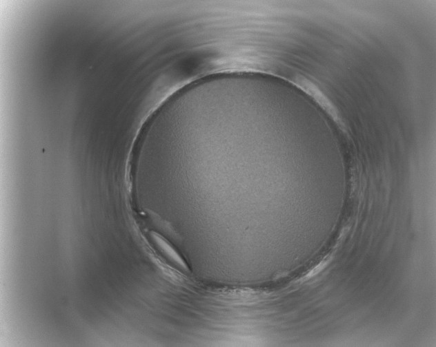 X0000070860885200606302043