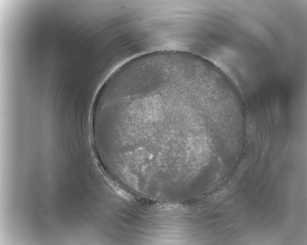 X0000070860886200606302043